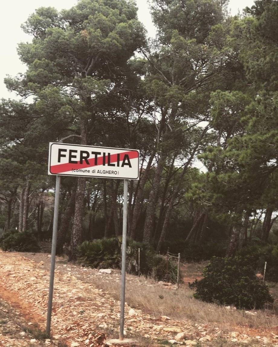 Zvládly jsem doběhnout jen na konec města