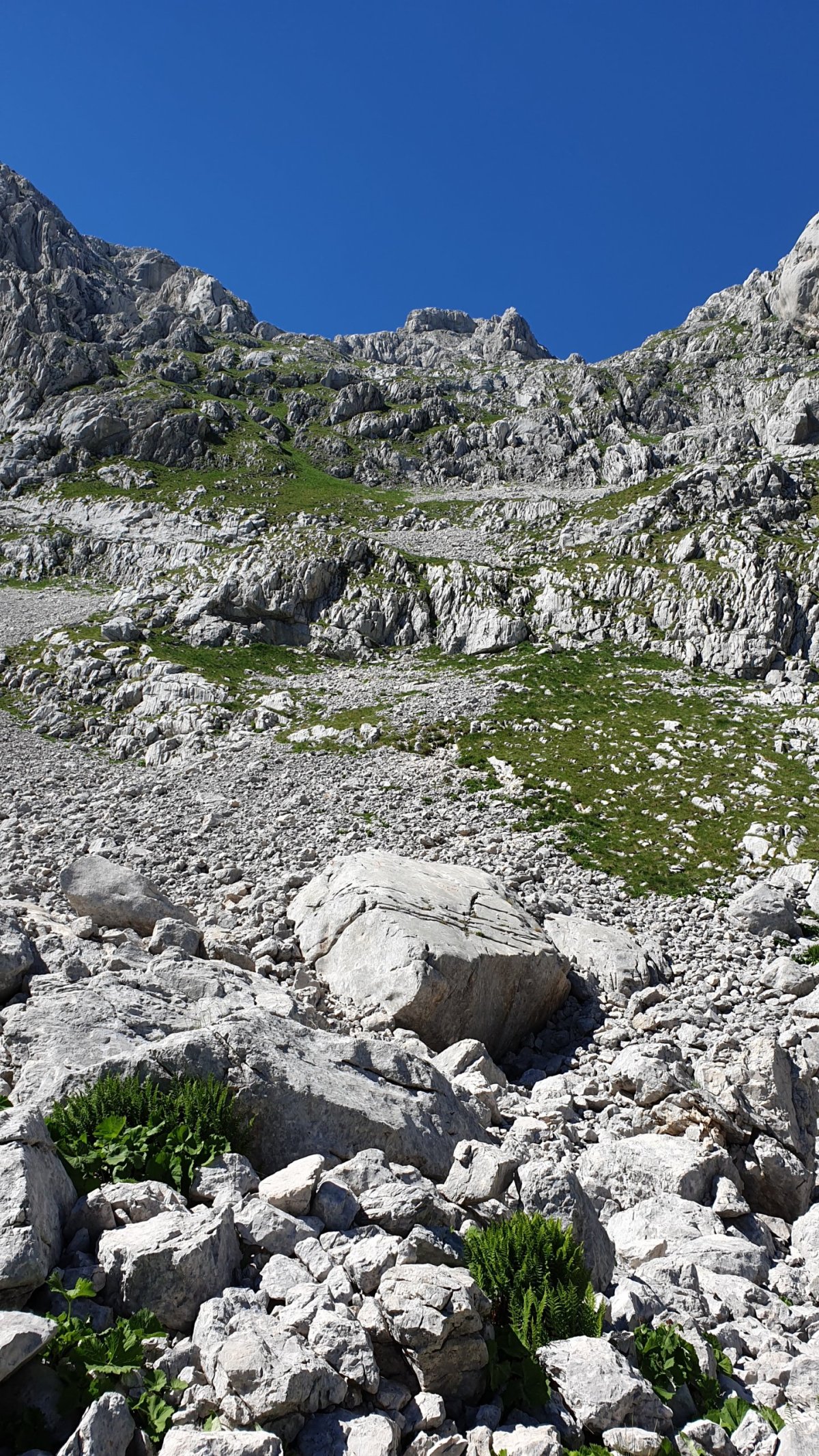 Ano, tohle je ta správná cesta