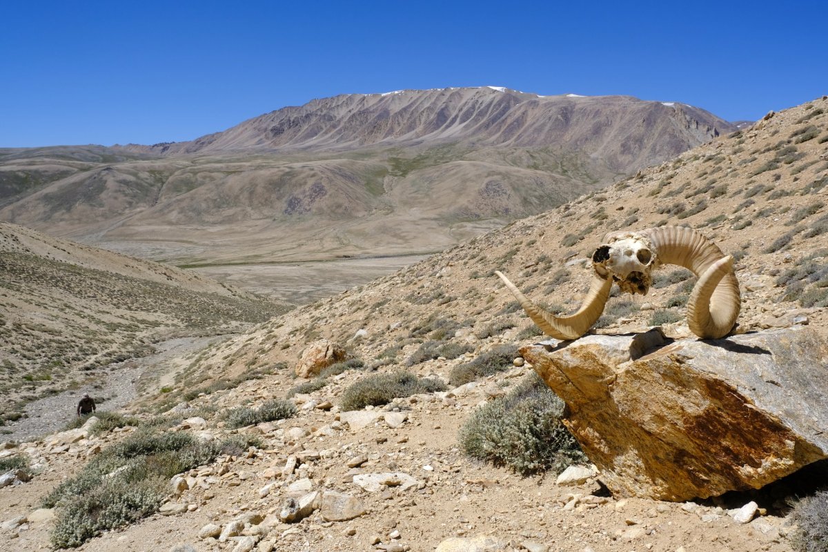 cestou k Panorama Peak