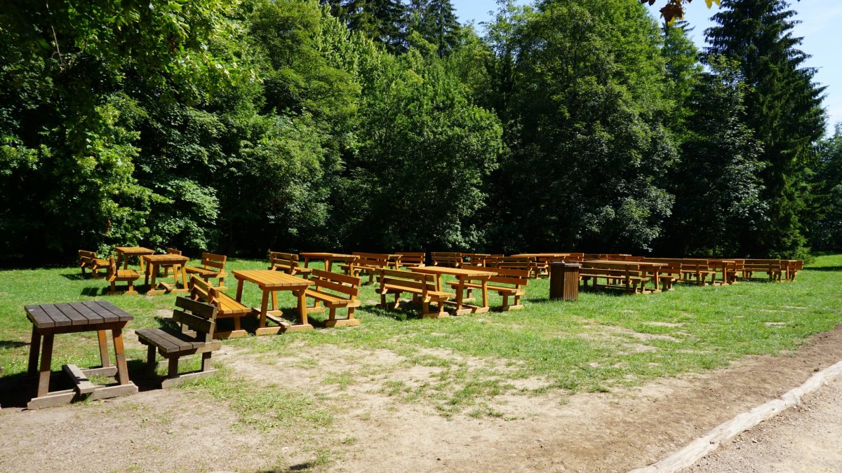 Cestování za časů korony