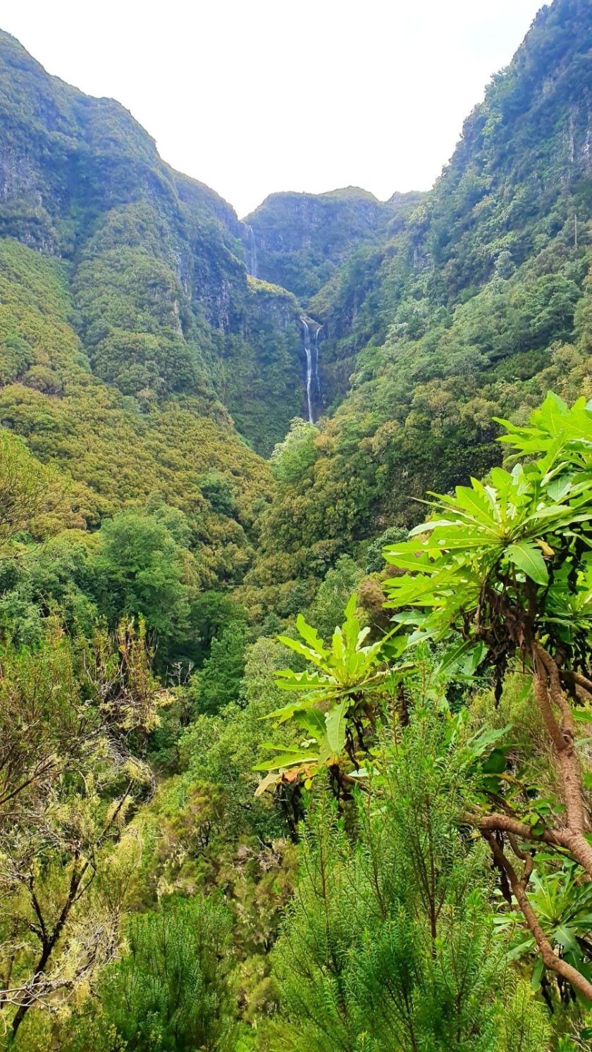 Úžasná Madeira