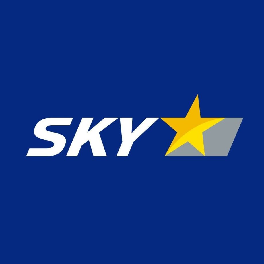 Skymark Airlines Logo