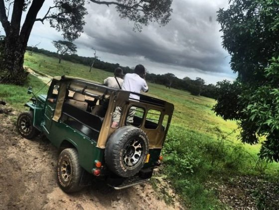 Kaudulla National Park