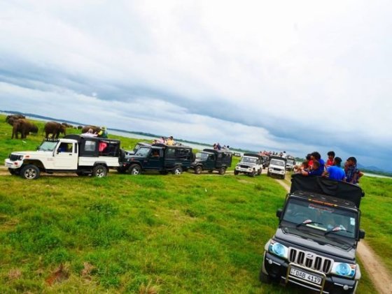 Kaudulla National Park - odvrácená strana ráje...