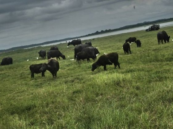 Kaudulla National Park
