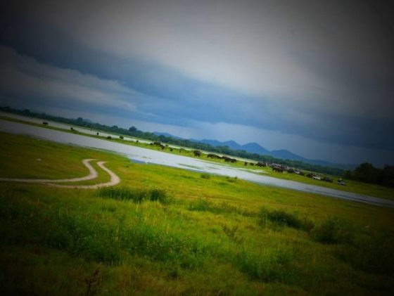 Kaudulla National Park