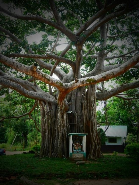 Sigiriy Rock, Pidurangala Rock