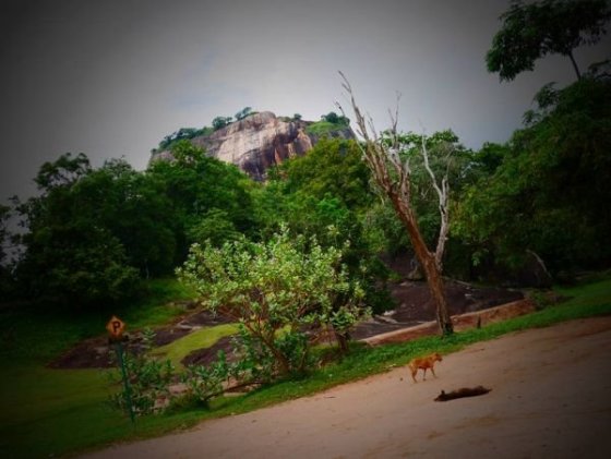 Sigiriy Rock, Pidurangala Rock