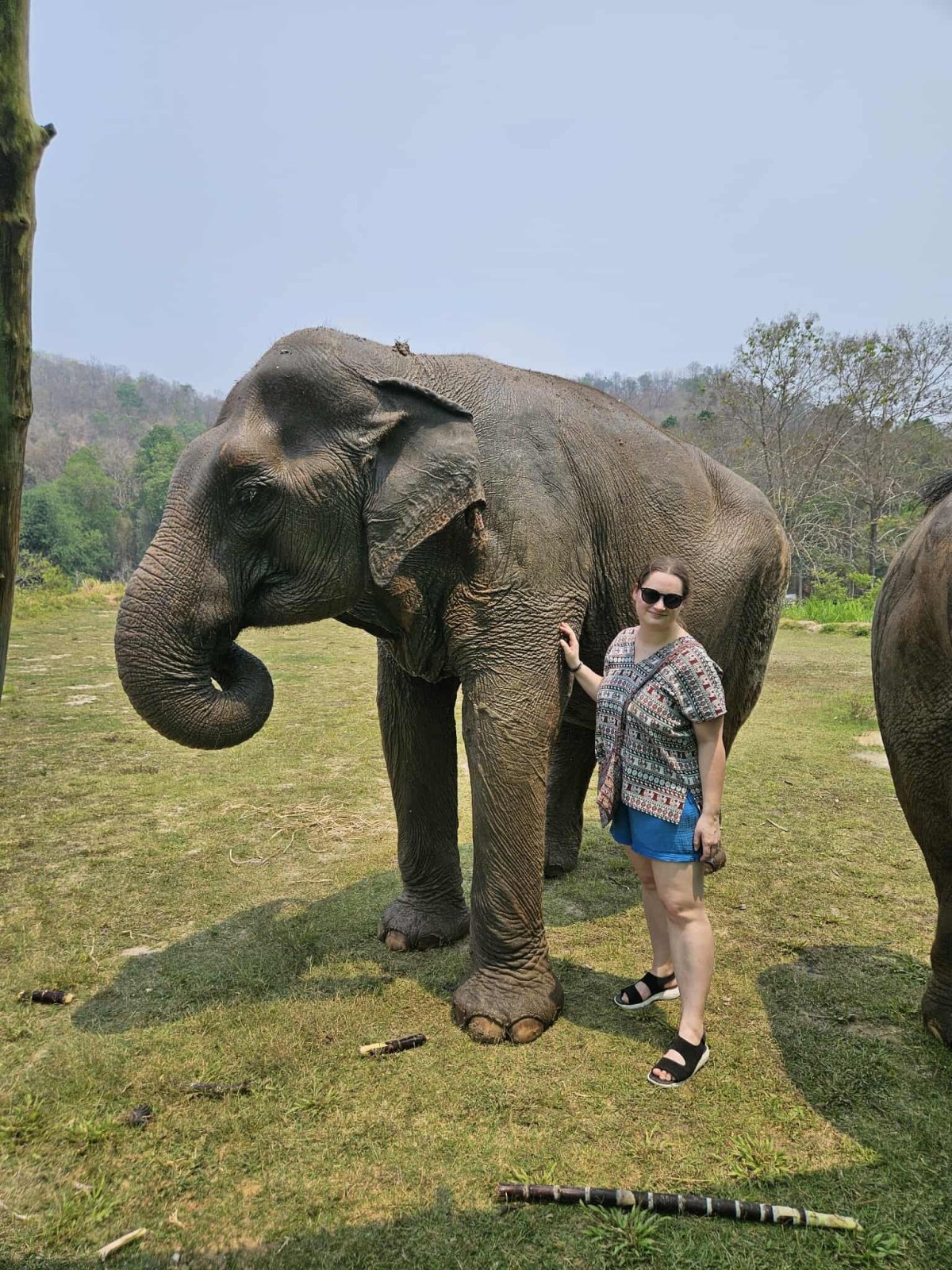 Návštěva sloní záchranné stanice