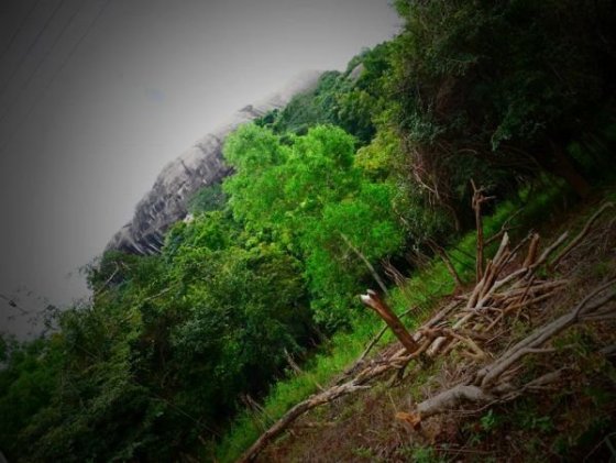 Sigiriy Rock, Pidurangala Rock