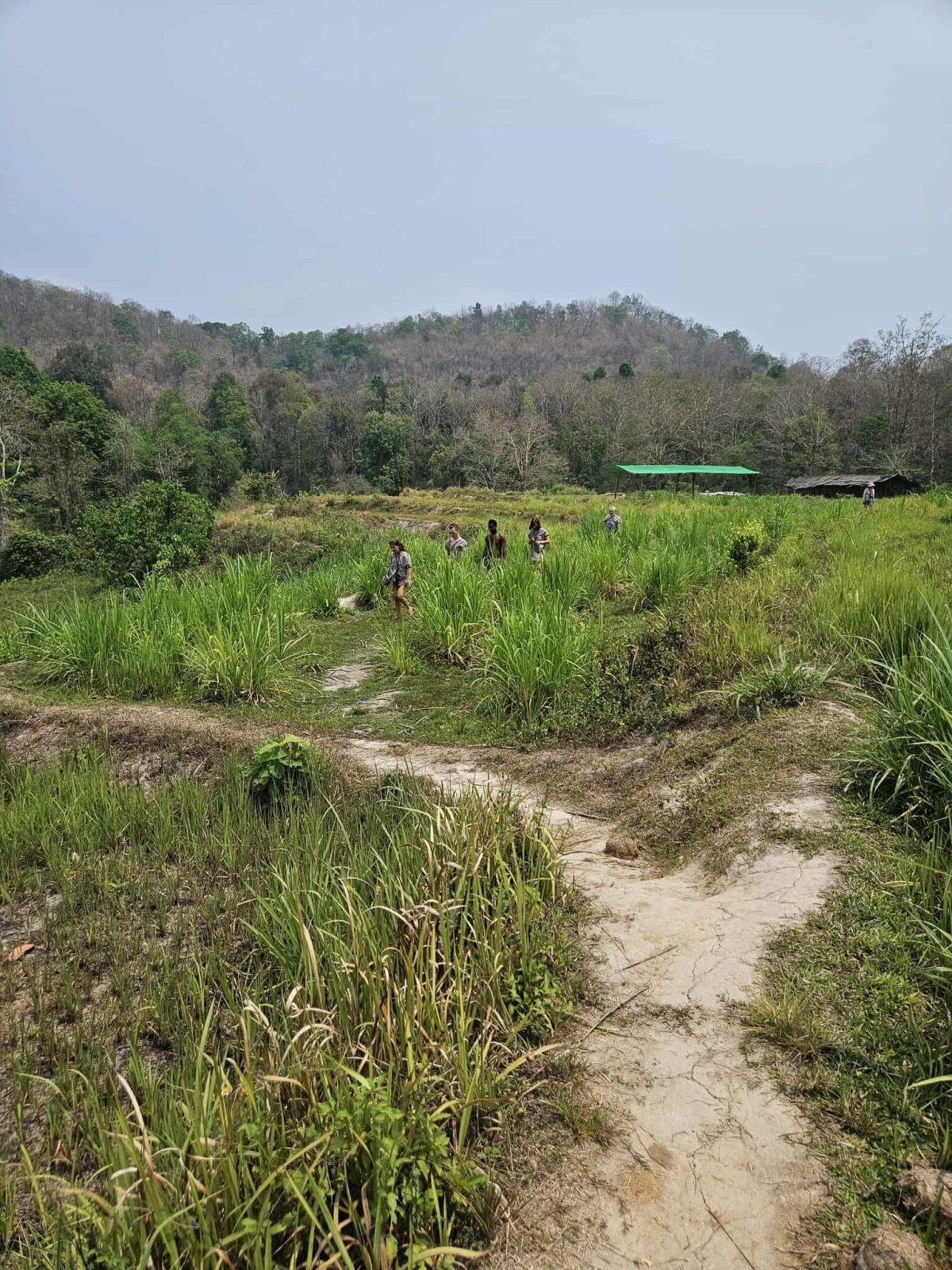 Návštěva sloní záchranné stanice