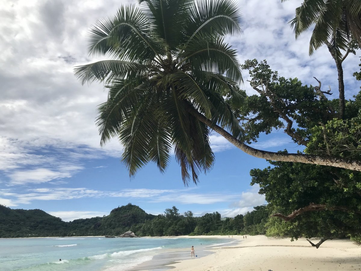 Grand Anse - Mahé