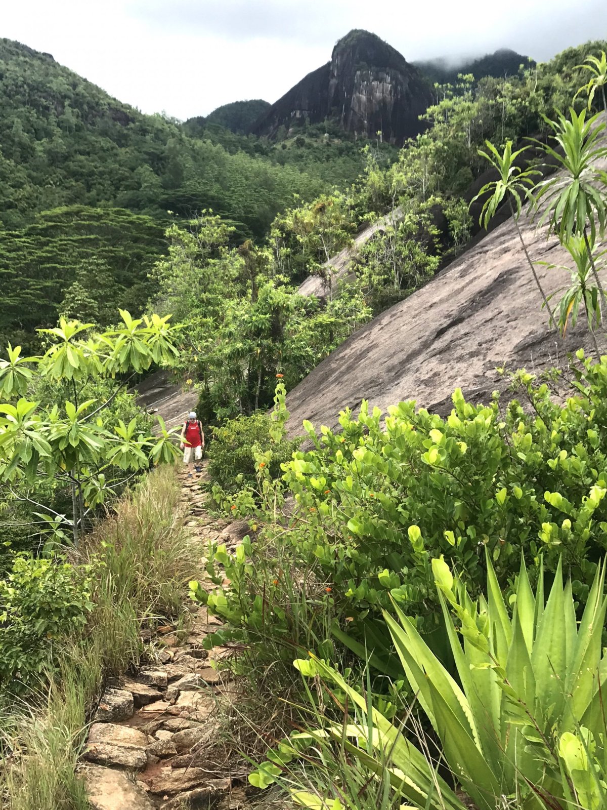 Anse Major Trail - Mahé 