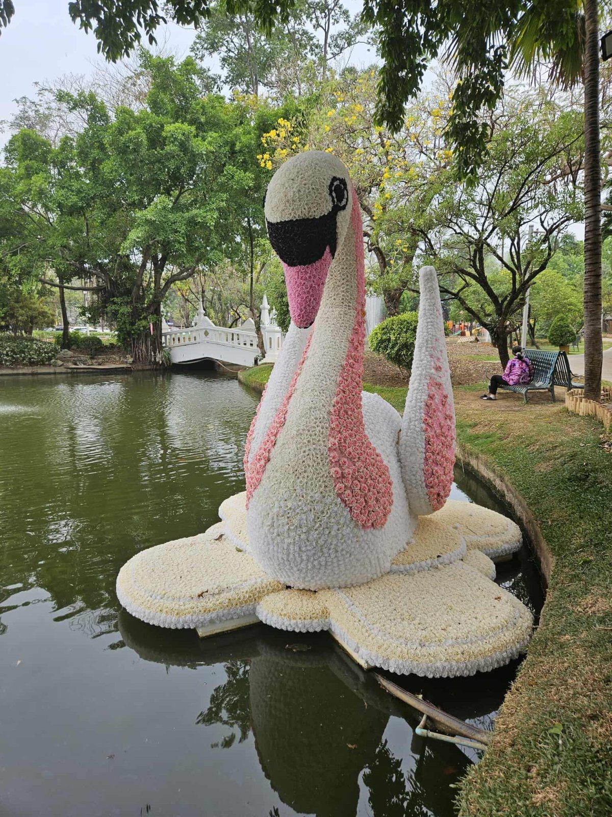 Pozůstatek květinového festivalu