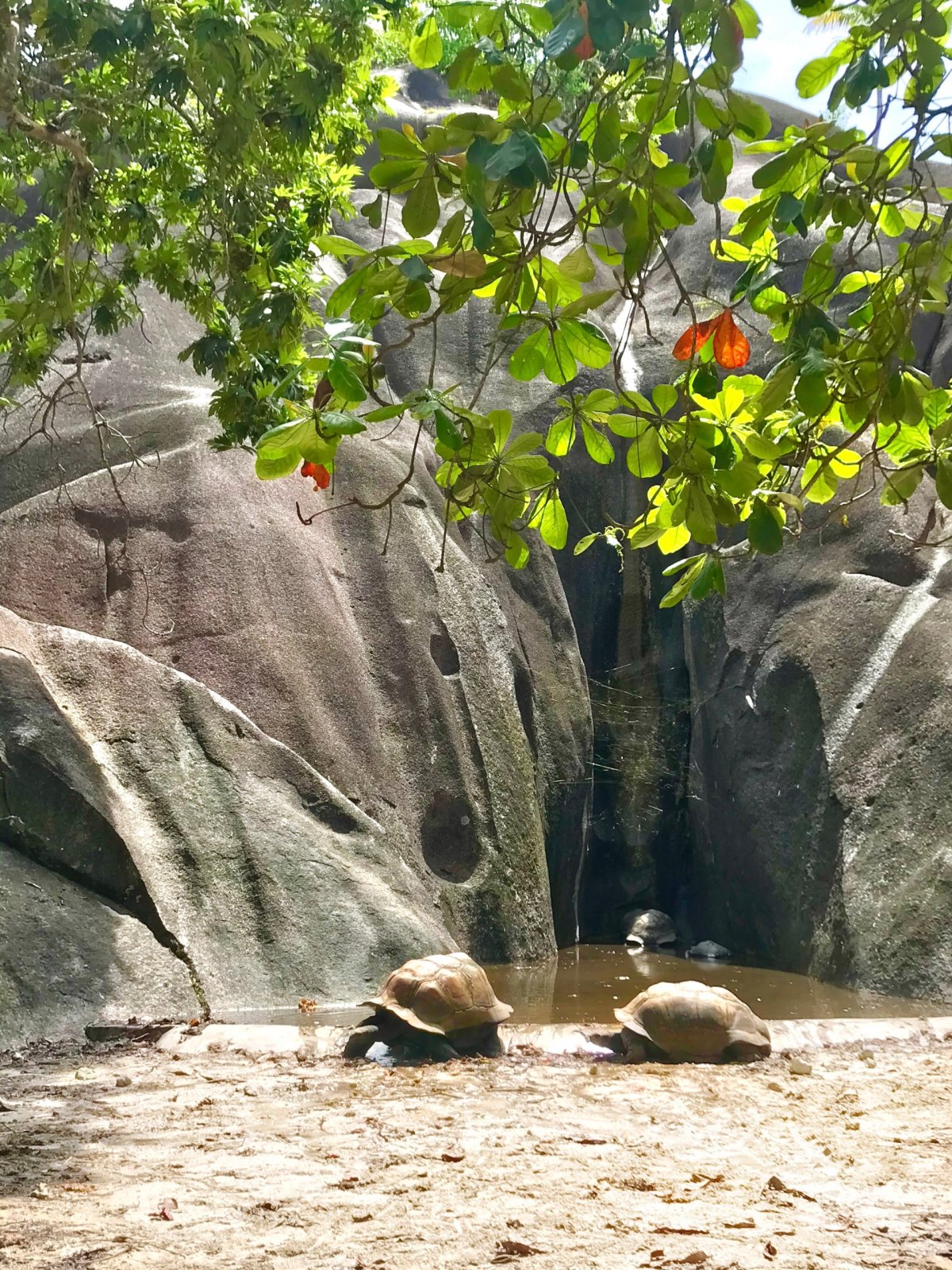 Union park - La Digue