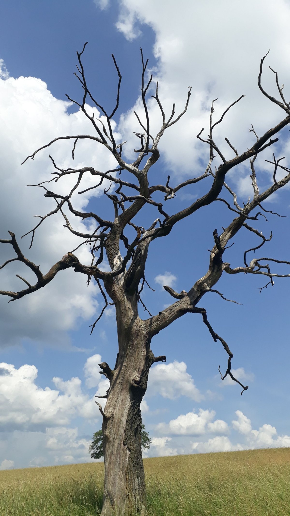 Hlavička uživatele