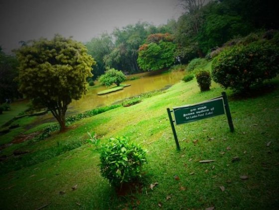 Royal Botanical Gardens, Peradeniya
