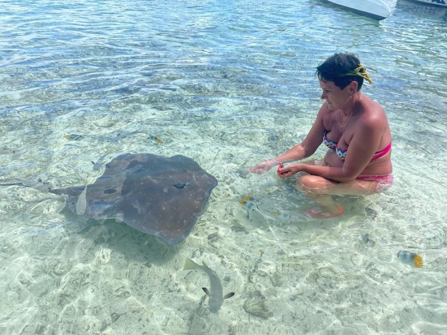 A připlul kamarád rejnok