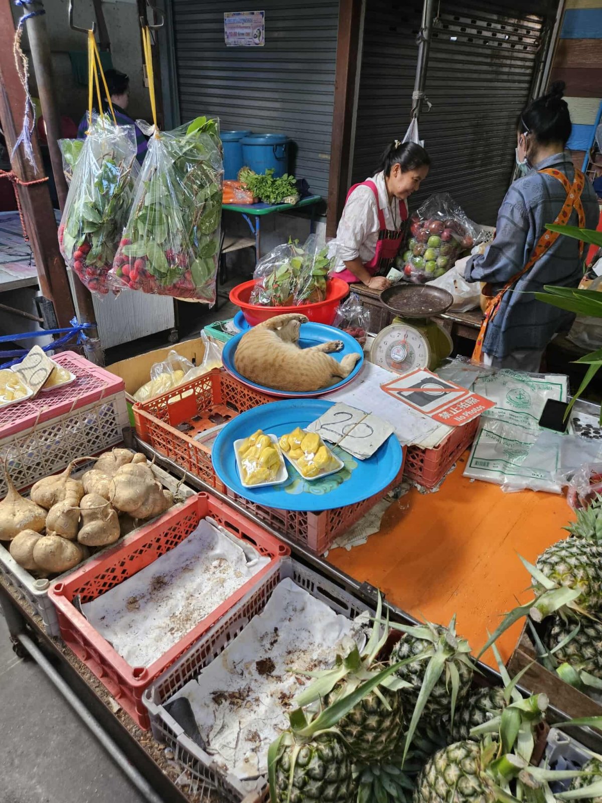 Maeklong Railway Market