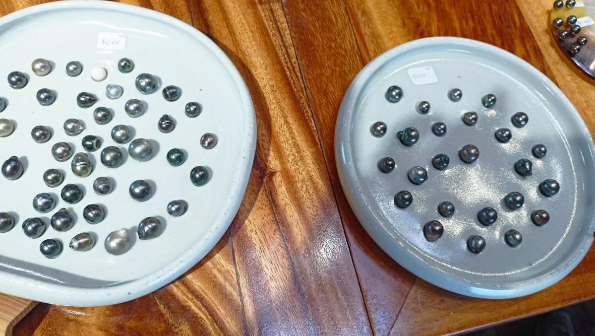 "černě" perly na perlí farmě