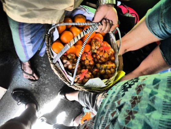 Cesta z Kandy do Hatton