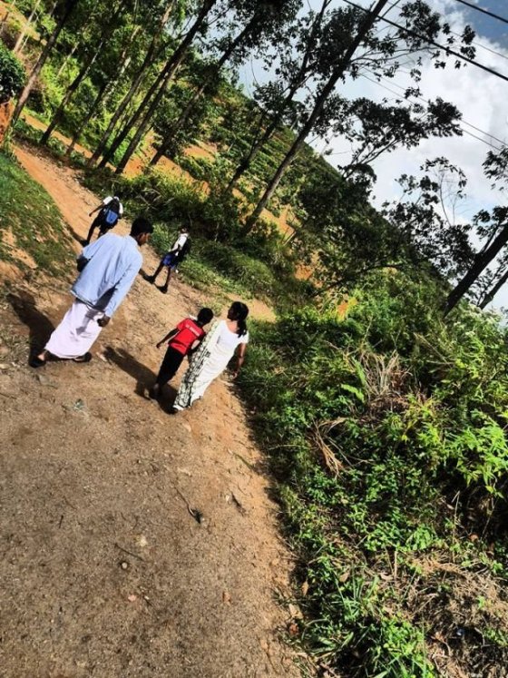 Cesta z Kandy do Hatton