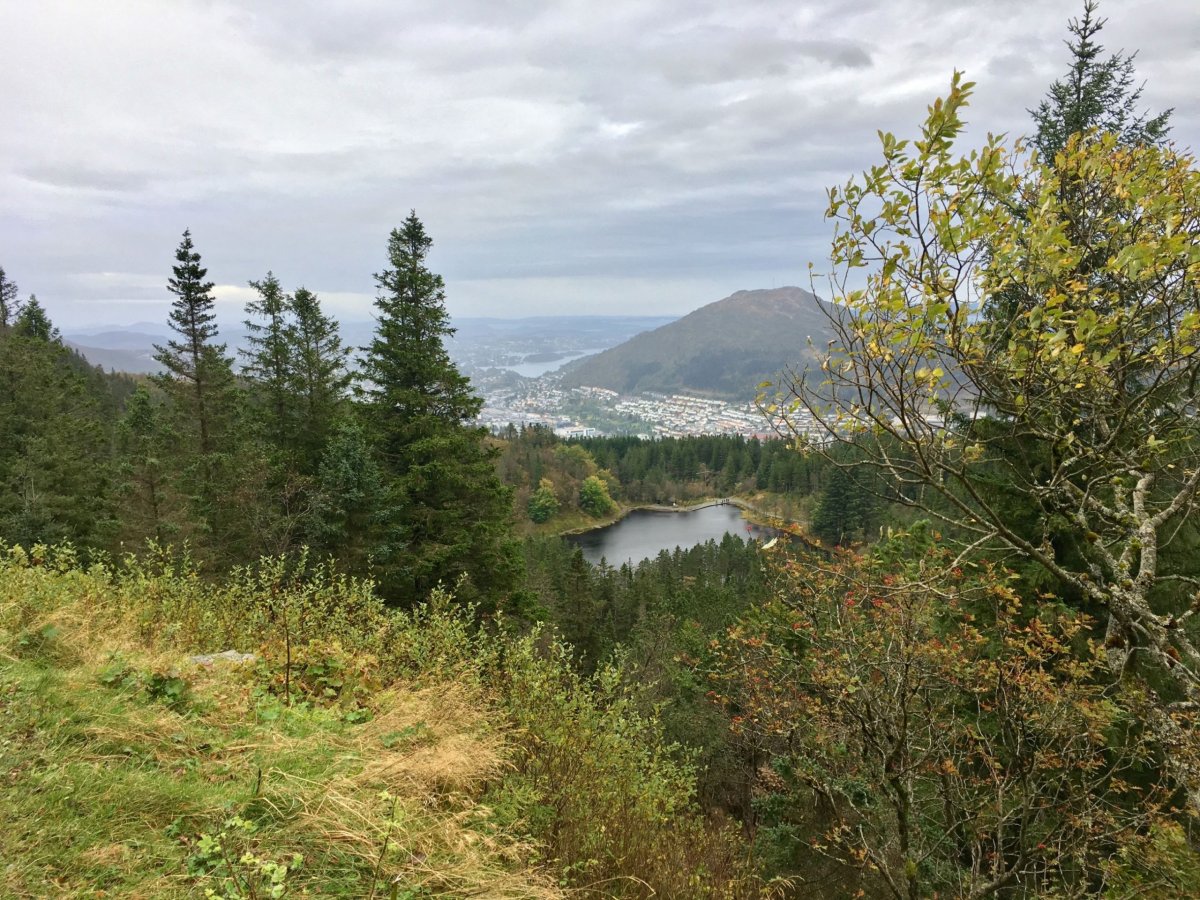 Bergens fjellstrekninger