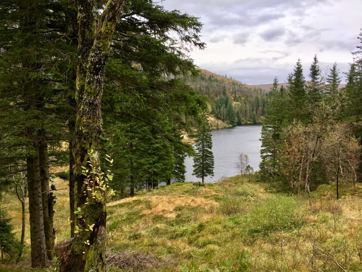 Bergens fjellstrekninger
