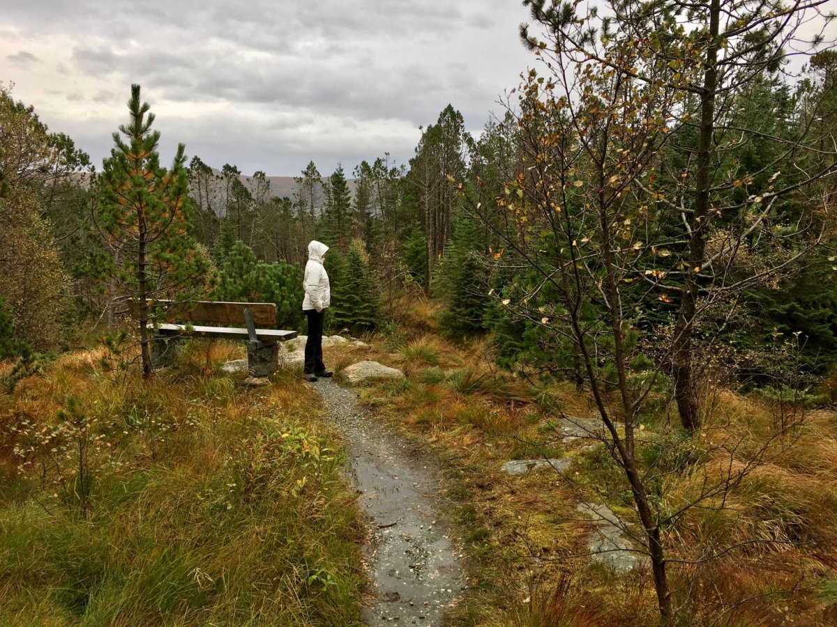 Bergens fjellstrekninger