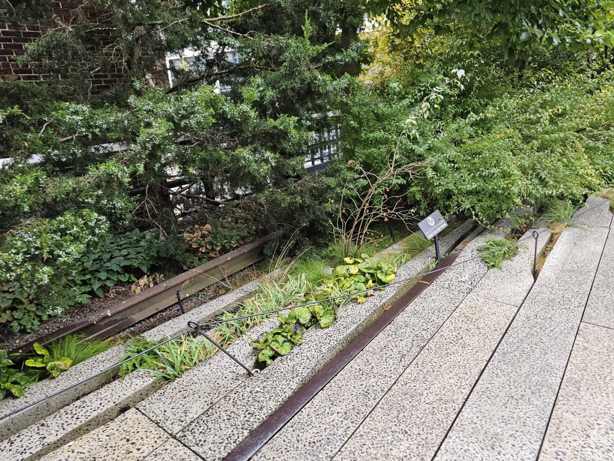 High Line