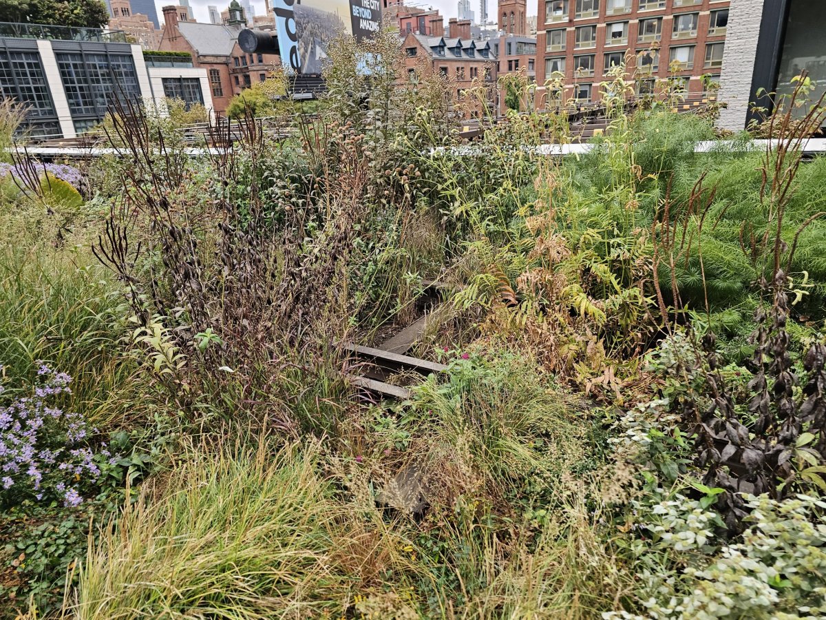 High Line