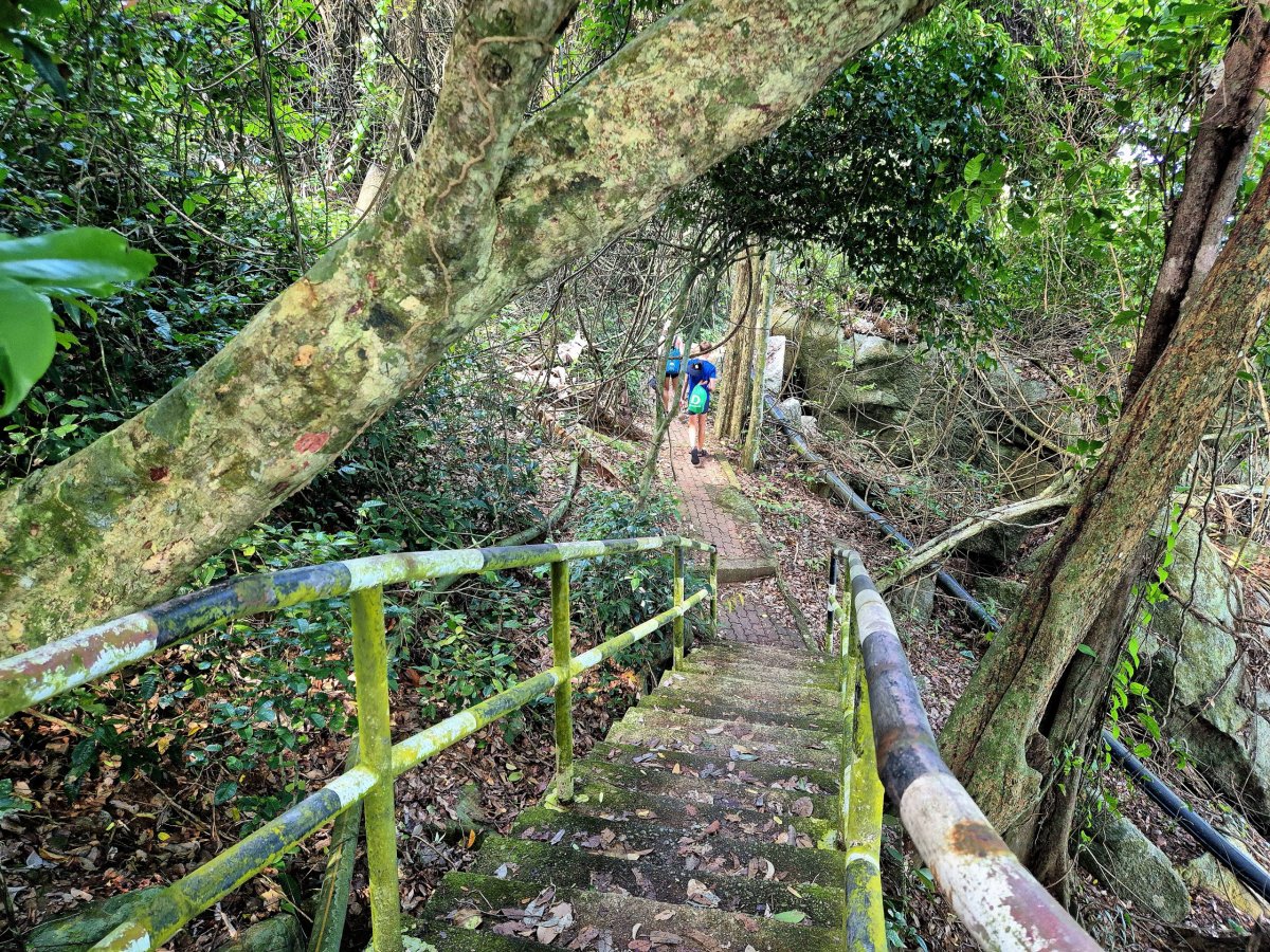 Jižní trek