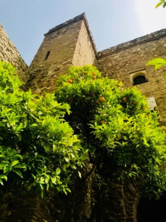 Alcazaba de Málaga