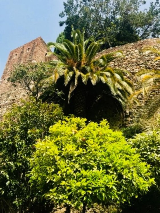 Alcazaba de Málaga