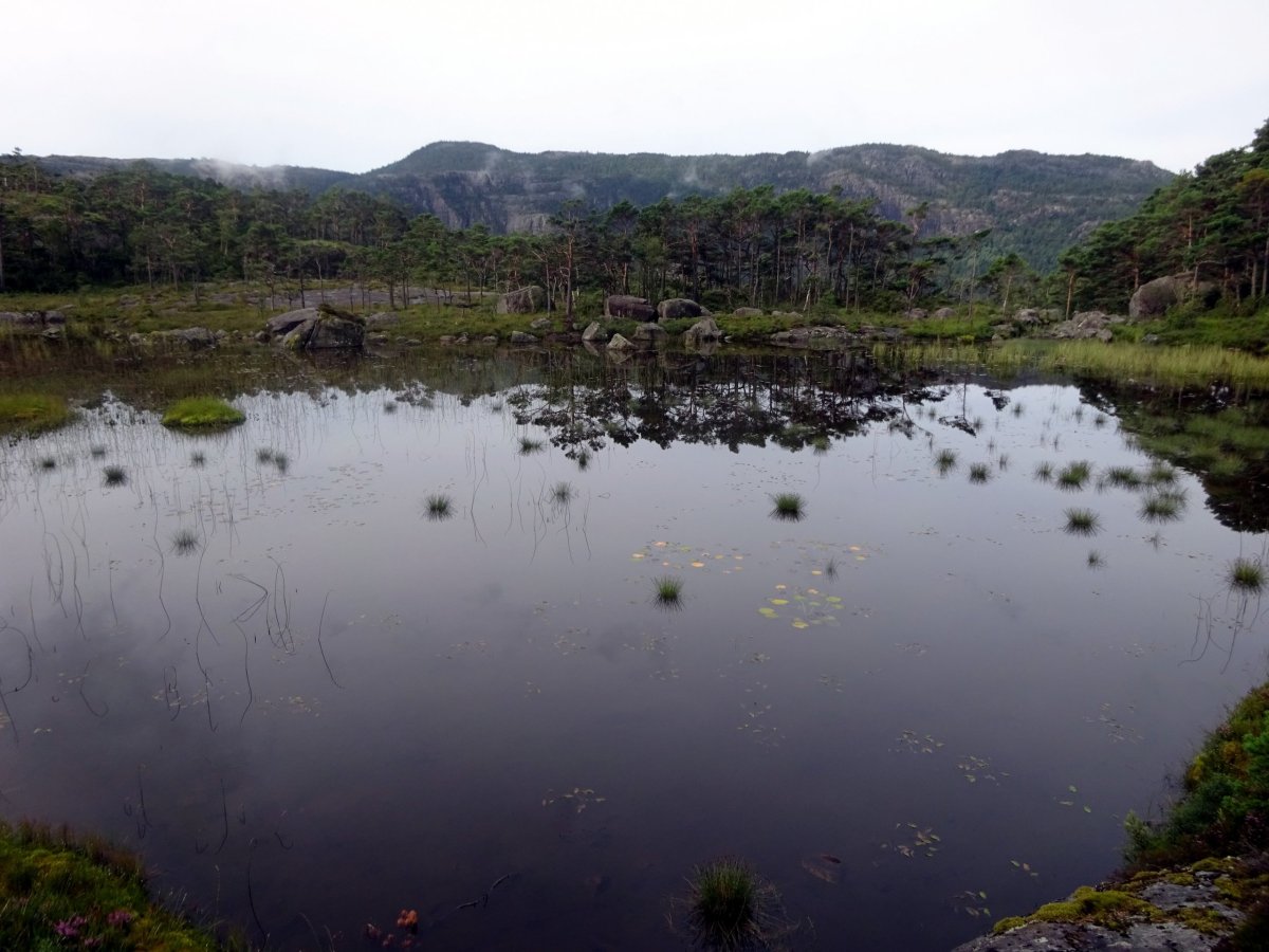 Jezírko Kustitjorna