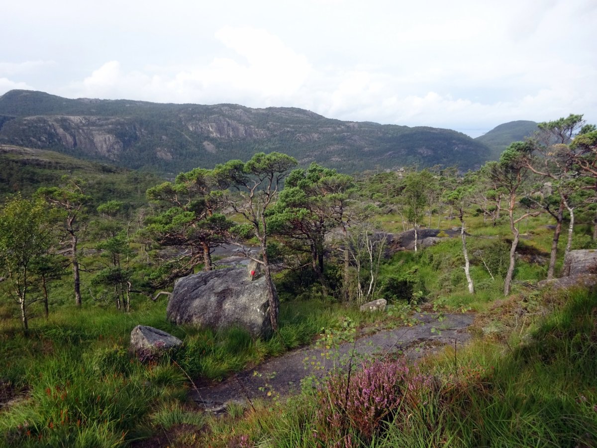 Krajina cestou k Preikestolhytta