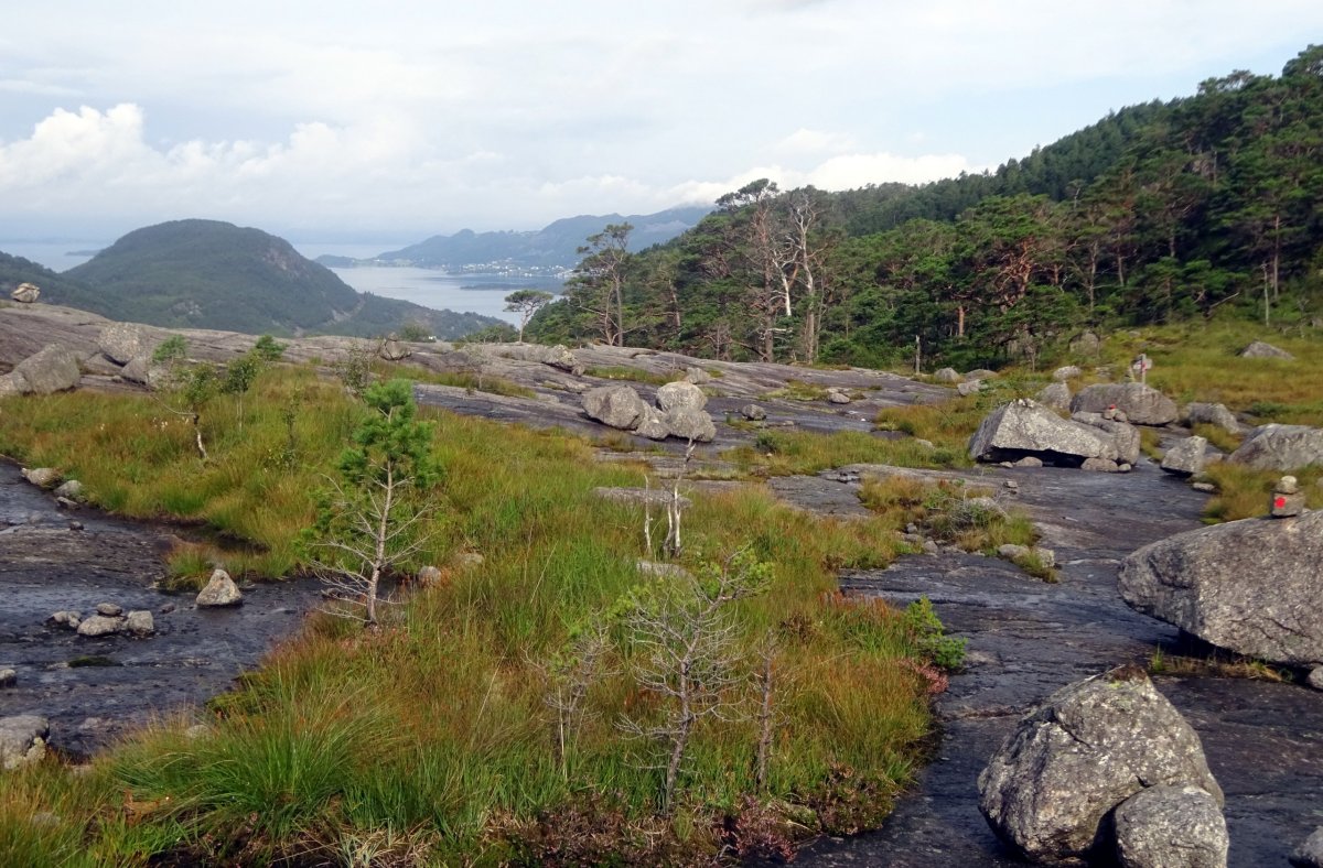 Krajina cestou k Preikestolhytta