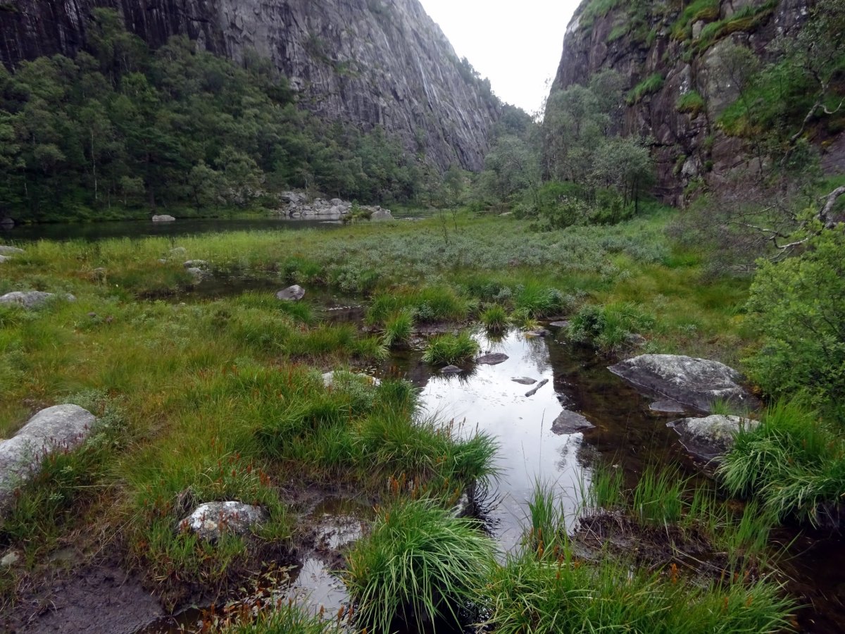 Krajina cestou k Preikestolhytta