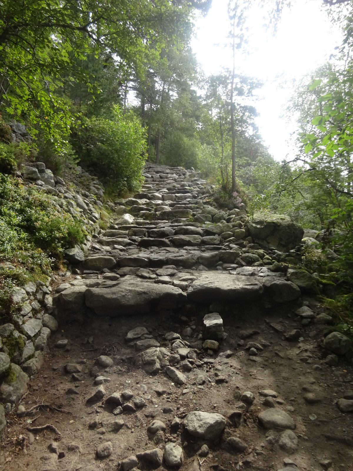 Cesta na Preikestolen