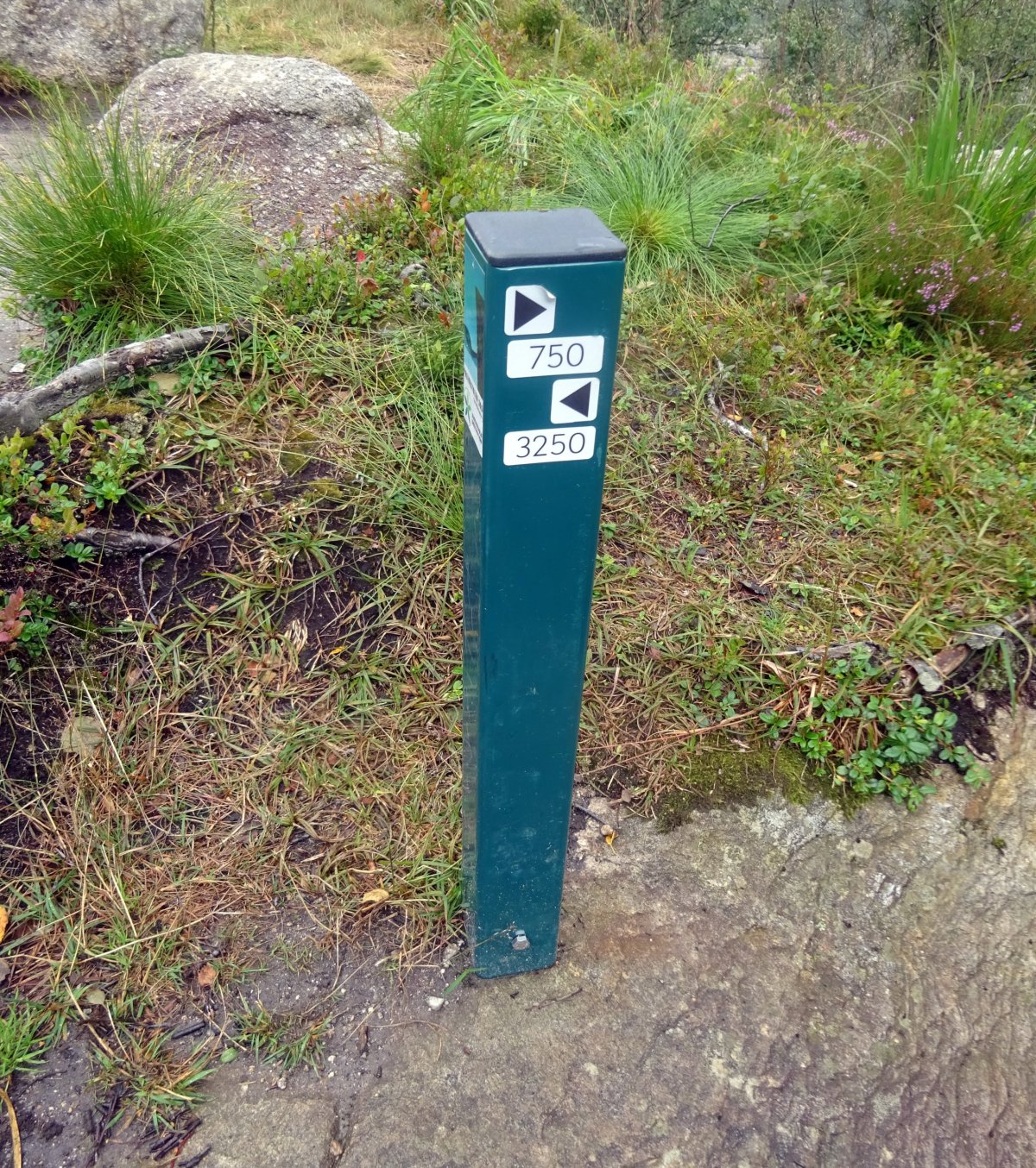 Patník udává vzdálenost v metrech na parkoviště (směr vlevo) a na Preikestolen (směr vpravo)