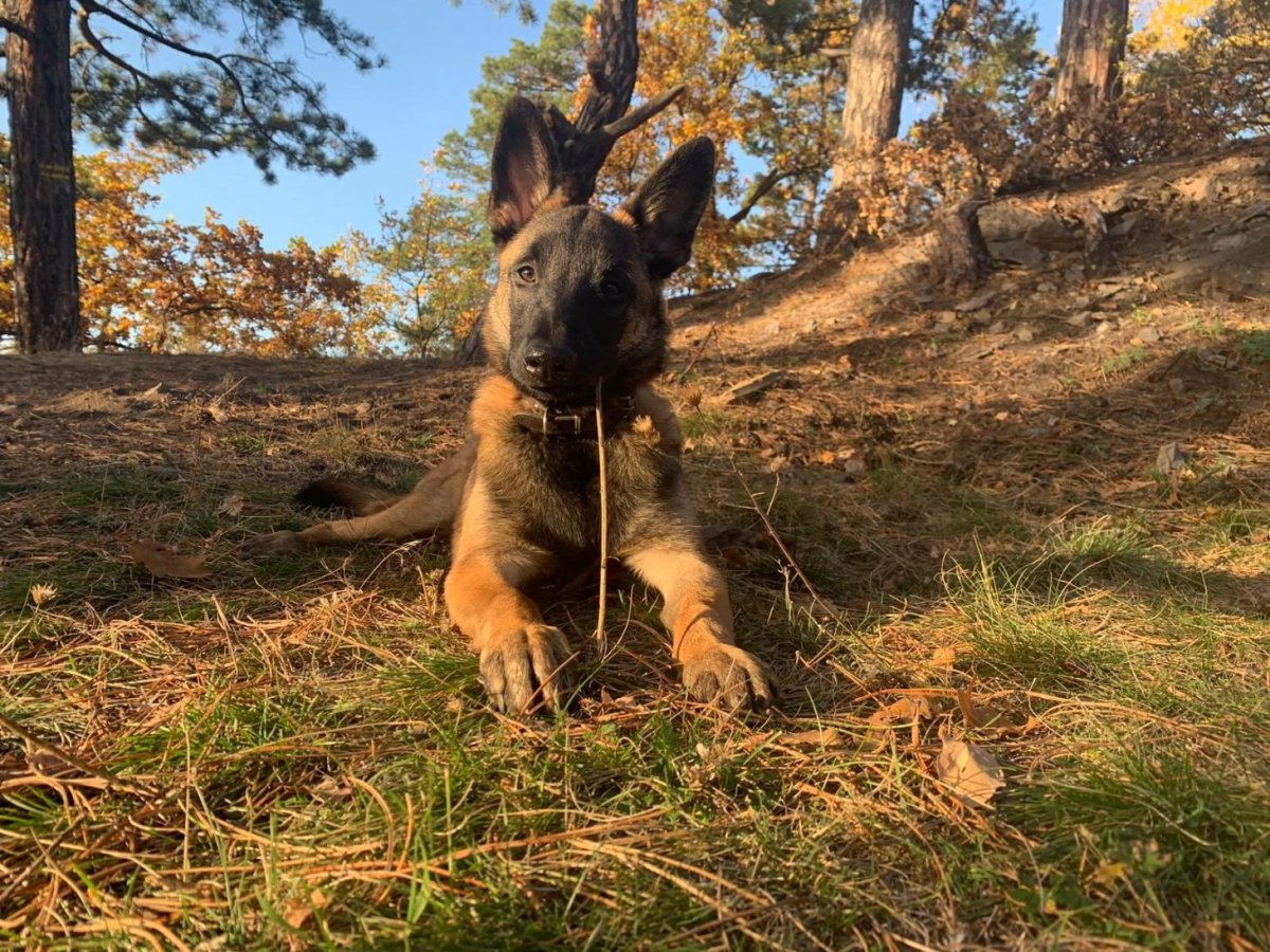 Hlavička uživatele