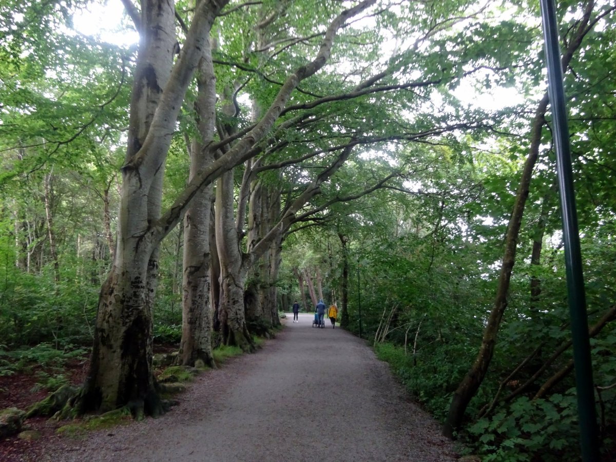 Stezka okolo jezera Mosvatnet