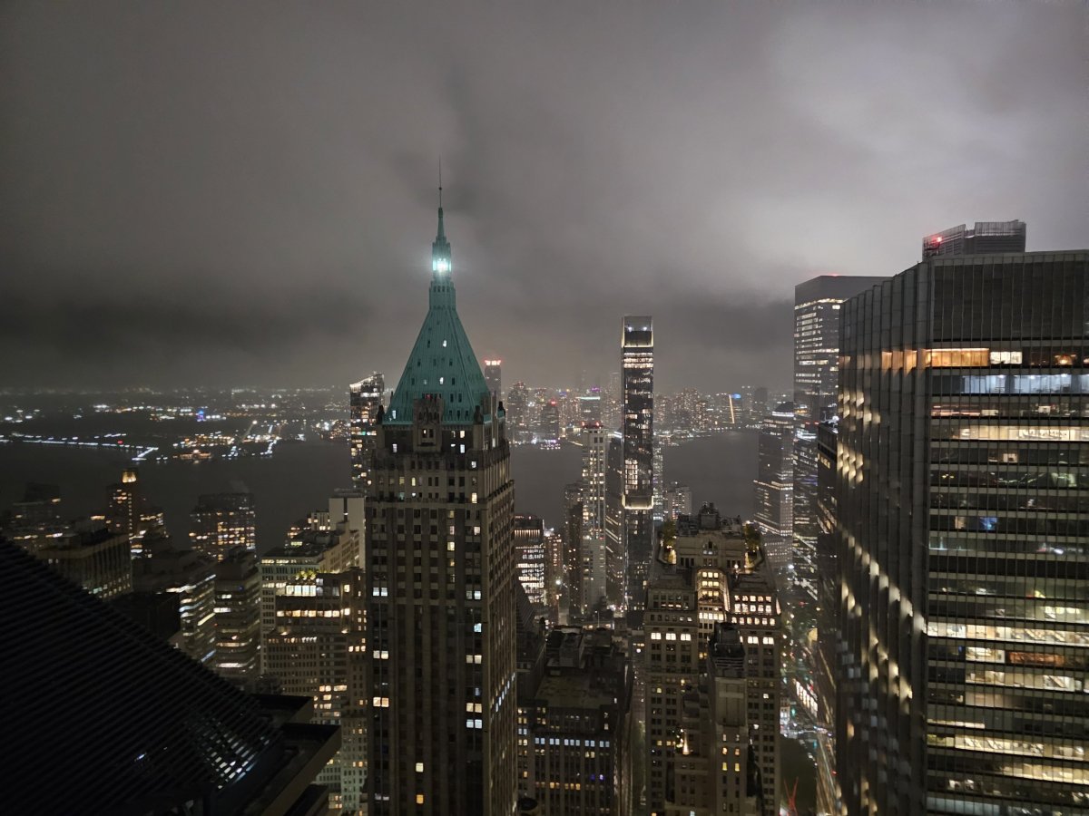 Vyhlídka z baru Overstory