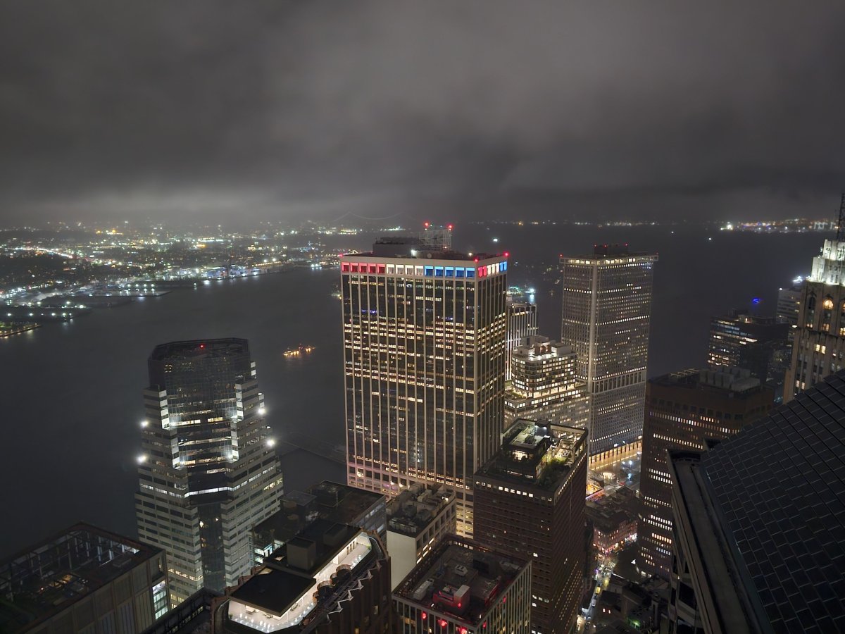 Vyhlídka z baru Overstory