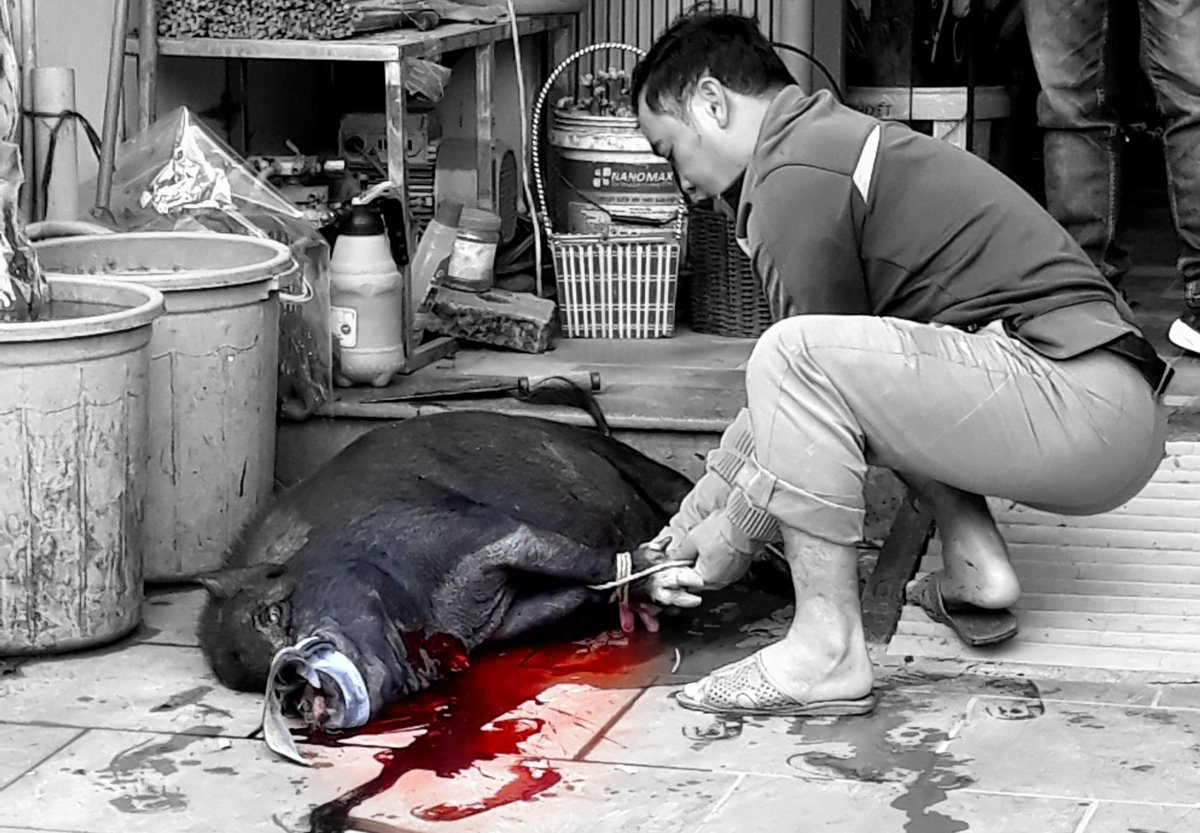 Příprava oběda v centru města