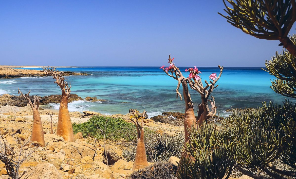 Socotra