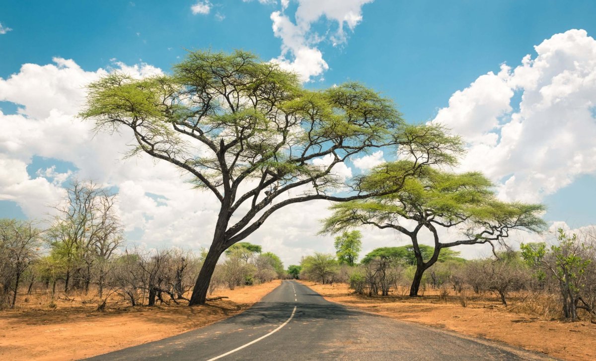 Silnice v Zimbabwe