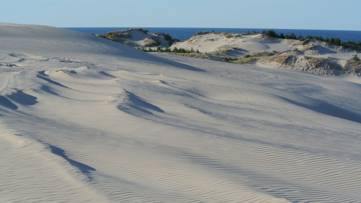 Hlavička uživatele