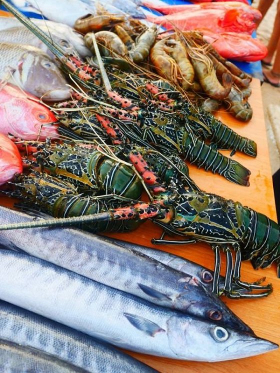 Telwatta, muzeum tsunami...