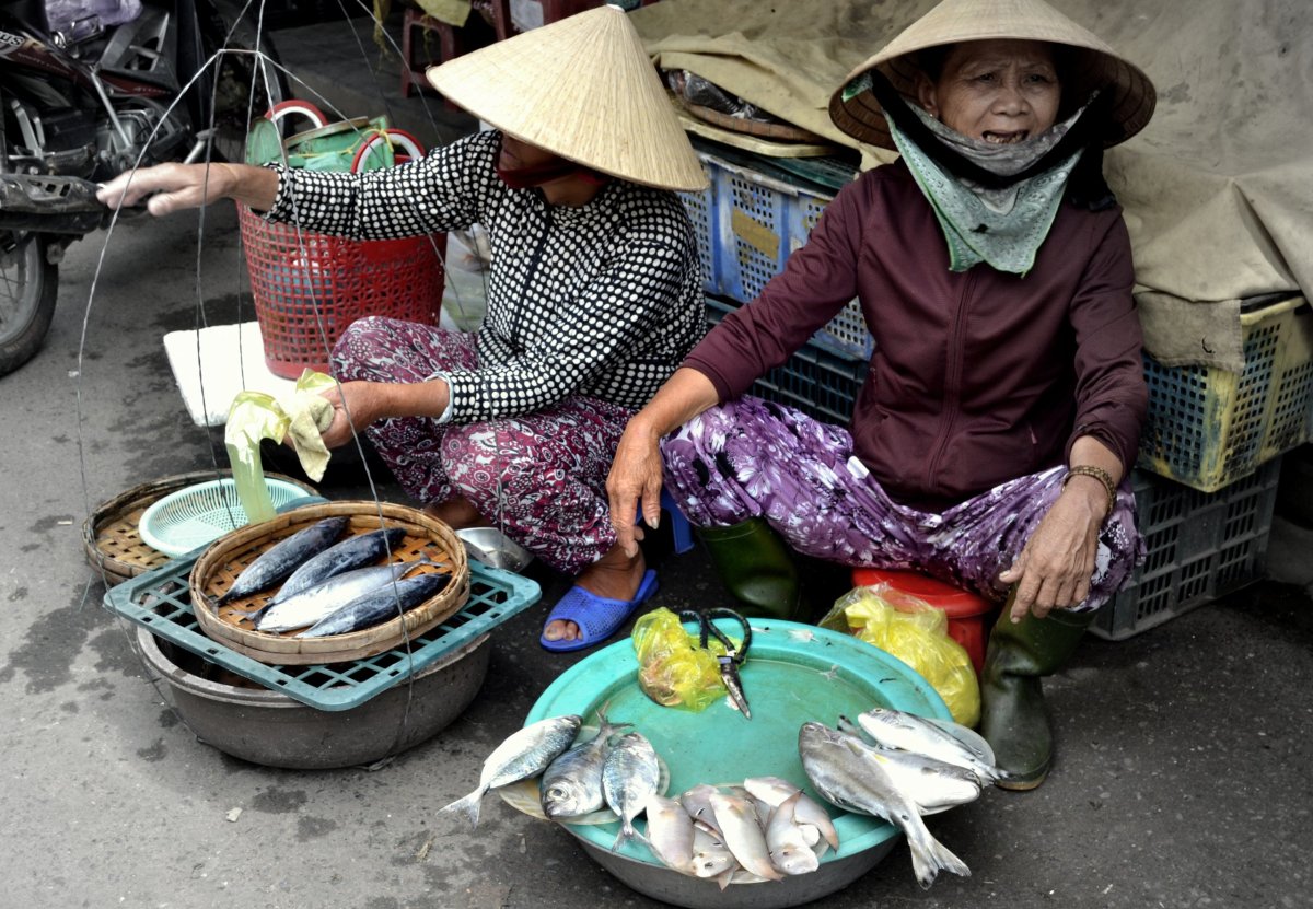 Je libo čerstou rybu na talíř?